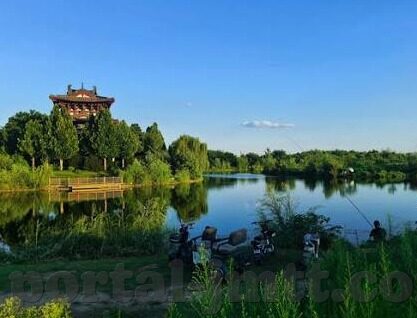 亚洲女同一区二区-亚洲女性力量的多元视角,一区与二区的和谐共融